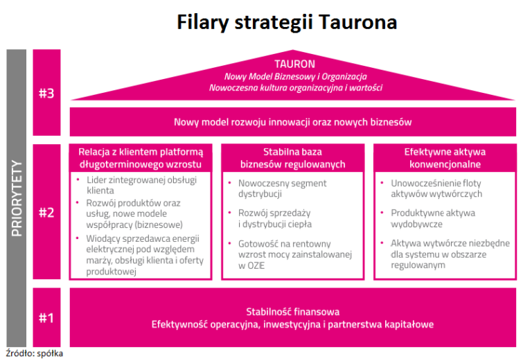 tauron strategia